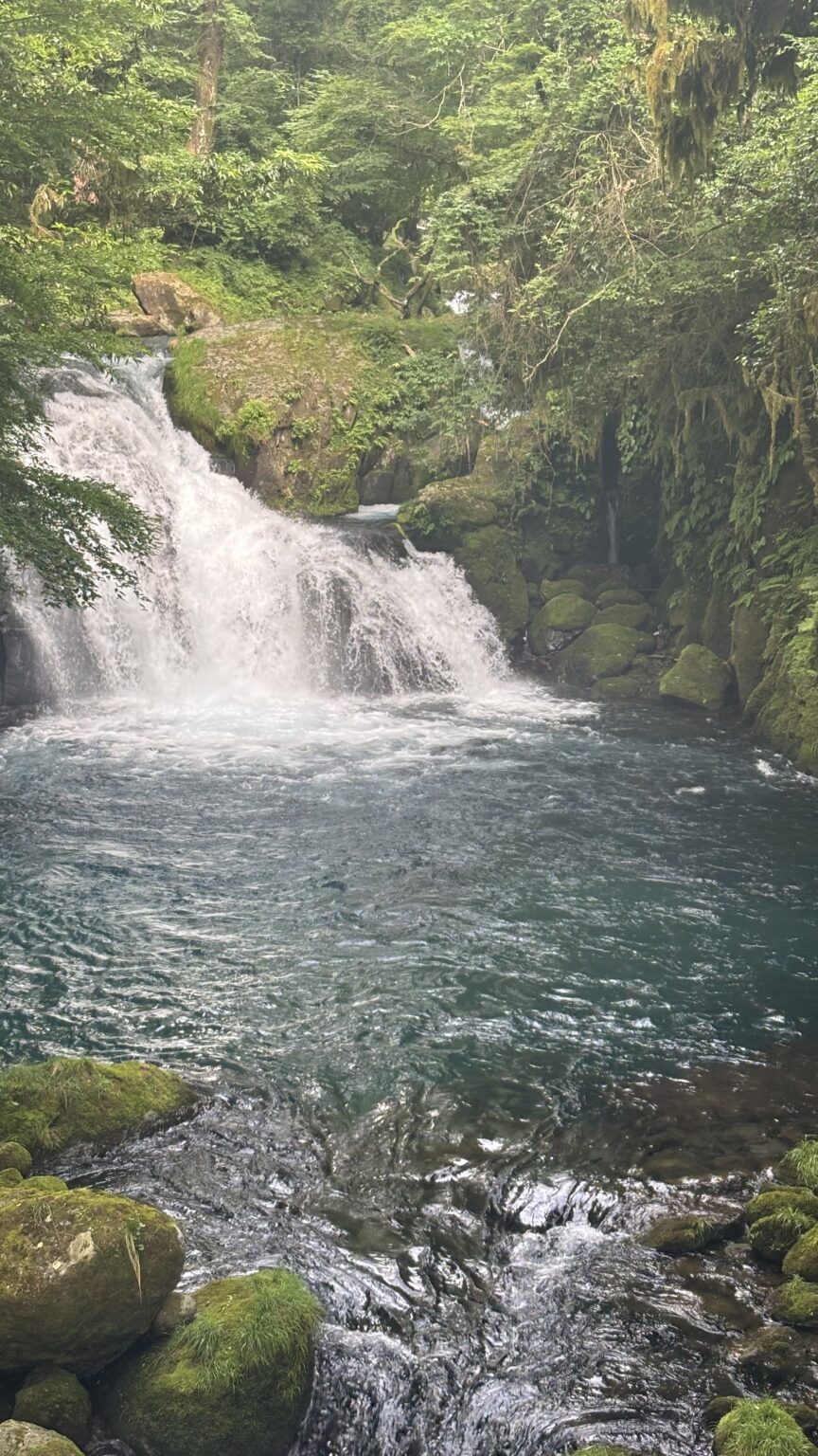 自然界隈してきました！ › 美容院・美容室Prestoグループ：埼玉県川口市、福岡県を中心とする大人女性のための美容室です。